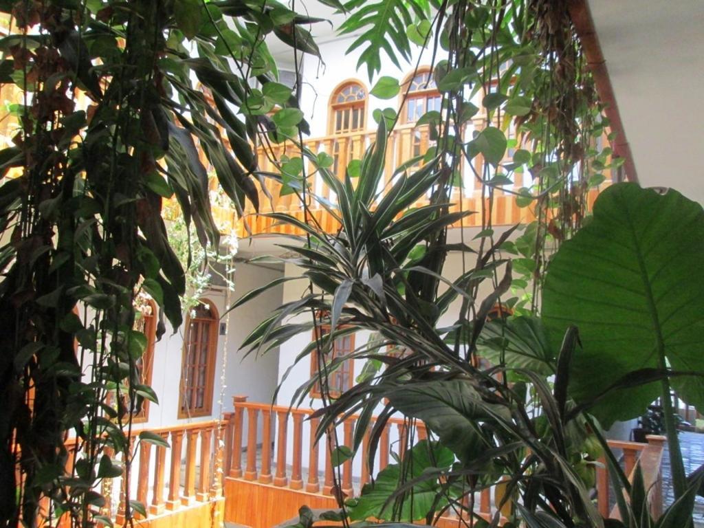 Hotel Guzman Xilitla Exteriér fotografie